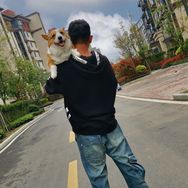 皇冠宠物学校