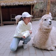 小凤的小娜姐姐