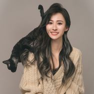 顾Ta家的德文卷毛猫