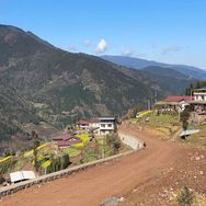 杨晨在农村