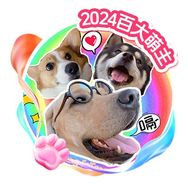 房飞冯