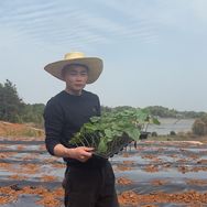 荒山种菜人小谢