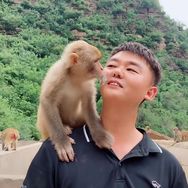猴小匡