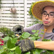 老郑会种花