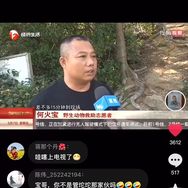 啊宝