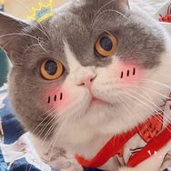 豆包の磨爪日记