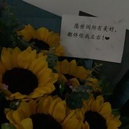 无限咪（养了137只布偶猫）