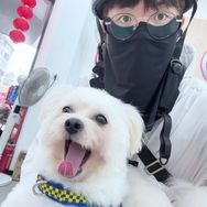 贪吃人12