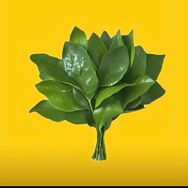 小嘉（一字马小仙女）🎠