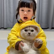 十八的萌喵日记