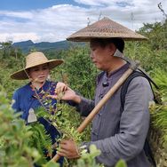 苗疆兄妹—传苗方