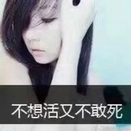 小洛大王unu