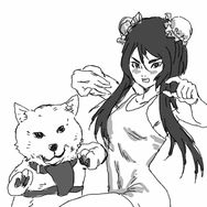 潇洒小柴（备赛金标炸弹猫）