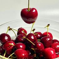 明天到大树车厘子