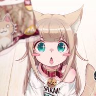 一碗五花猫