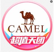 骆驼户外运动旗舰店