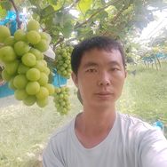 田文豪