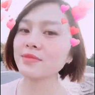 养猪王慧
