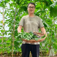 小林种植记（楼顶菜园）