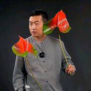 远征教插花