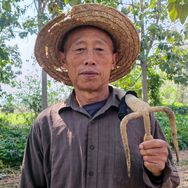 五零后的农村老汉