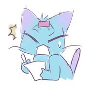 风筝猫-K