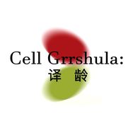 译龄官方旗舰店