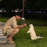 两只土拨鼠。