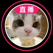 清风动物园