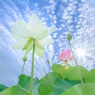 忠县佩元速百货店（个体工商户）