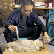 修猫修狗日记