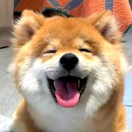 团团撩娱