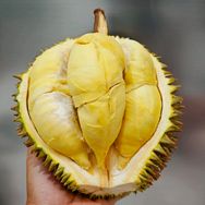 鲜果达榴莲专场