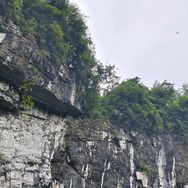 雾里看画