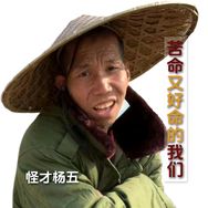 怪才杨五