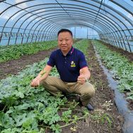 蔡总带您种西瓜（717）