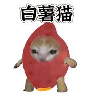白薯的猫meme