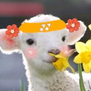 球场NPC·羊🐑