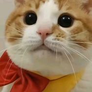 眼眼子和小丫头