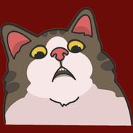 猫meme的小金豆