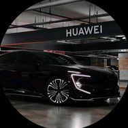 玉米站起来踩电门