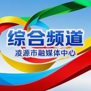 凌源市融媒体中心新闻综合频道
