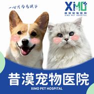 武汉昔漠宠物医院