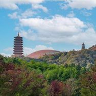 抖音涨粉榜旅游排行榜第13名南京牛首山文化旅游区