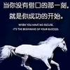 我拿青春赌明天