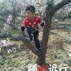 封姐