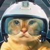 草莓猫meme