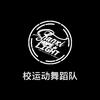 晋中信息学院校运动舞蹈队