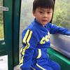 大壳花生