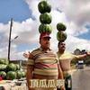 顶呱呱🍉